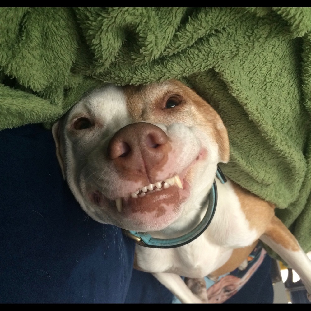 Meet your Posher, Julia